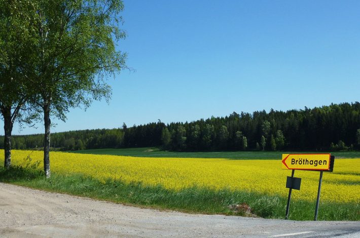 Fina motorcykelvägar i sommar